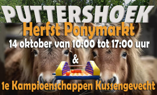 Herfstponymarkt