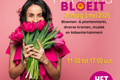 Houten het Rond Braderie/ plantjesmarkt 3 Mei